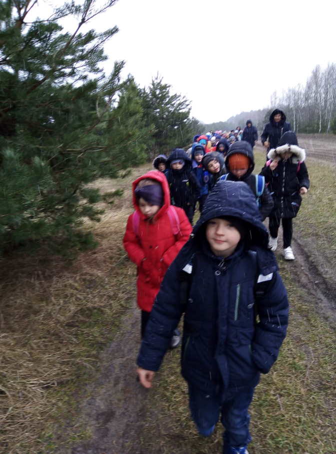 По дороге к лесничеству